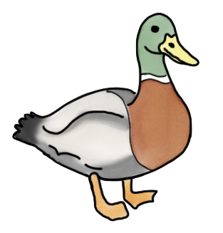 Datei:Cpannen - Ente-fb.png