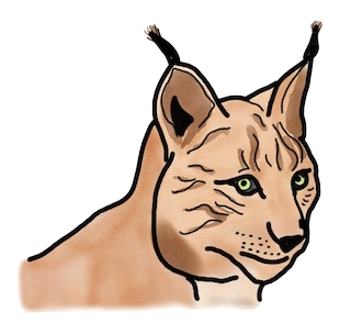 Datei:Cpannen - Luchs-fb.png