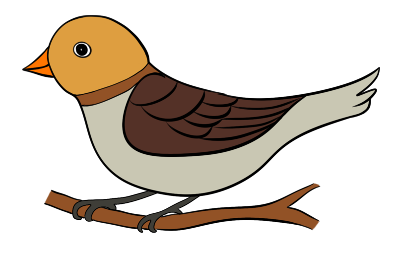 Datei:CA Vogel.png