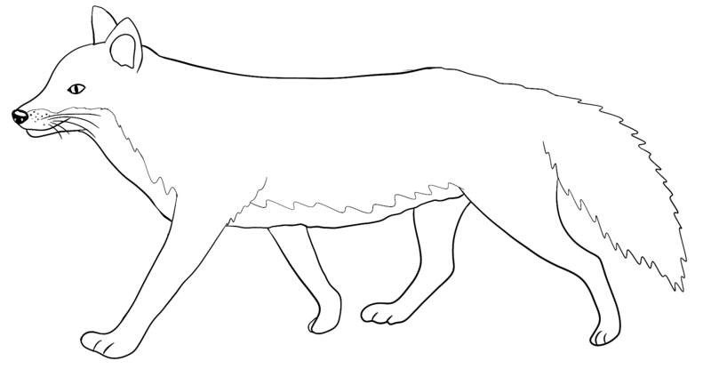 Datei:CA Fuchs sw.png