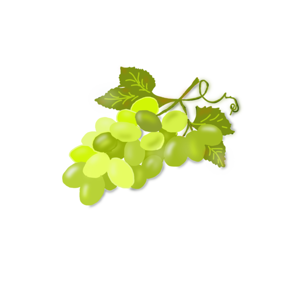 Datei:Weintraube.png