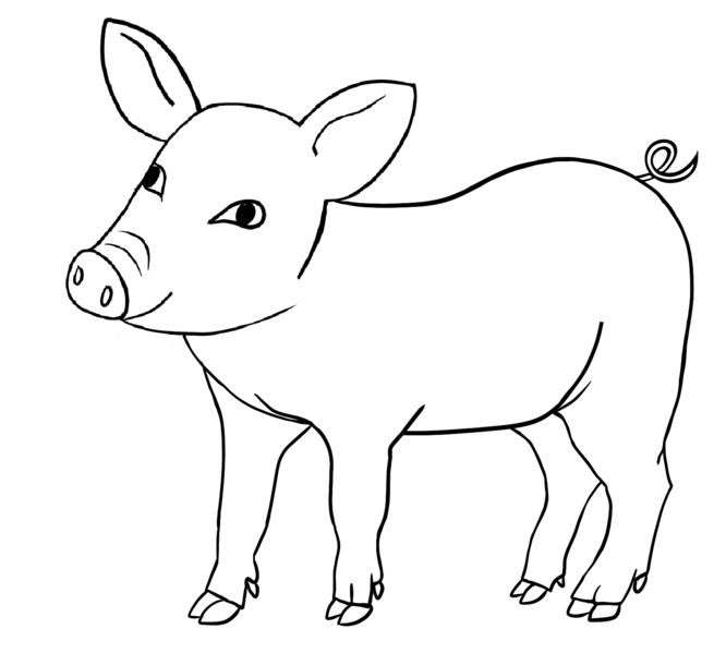 Datei:CA Schwein sw.png