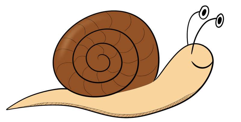 Datei:CA Schnecke.png