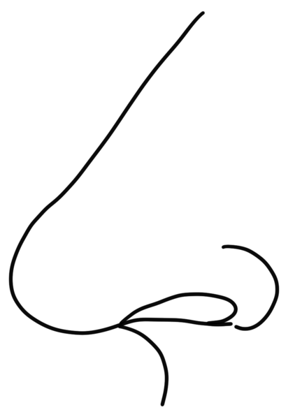 Datei:CA Nase sw.png