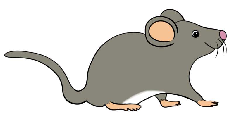 Datei:CA Maus.png