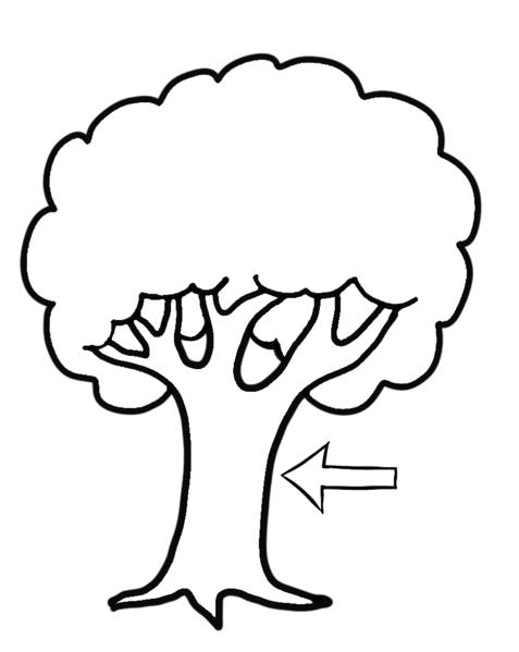 Datei:CA Stamm sw.png