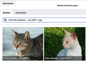 Bildschirmfoto 2020-08-26 um 16.57.57.png