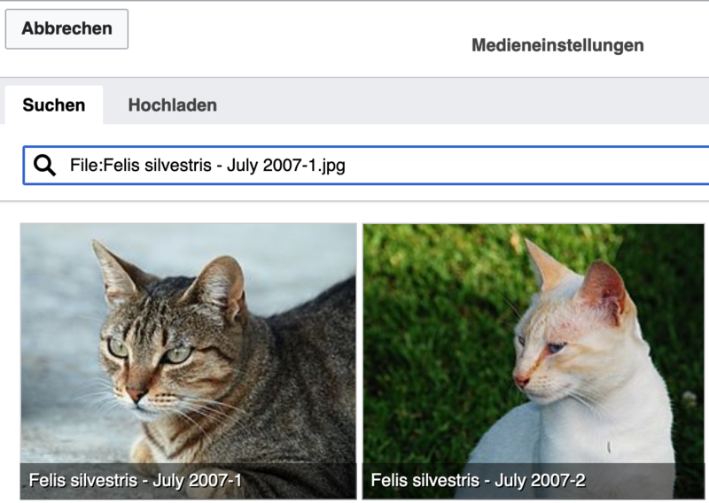 Datei:Bildschirmfoto 2020-08-26 um 16.57.57.png