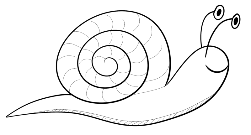 Datei:CA Schnecke sw.png