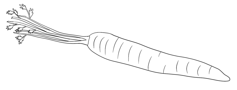 Datei:CA Moehre sw.png