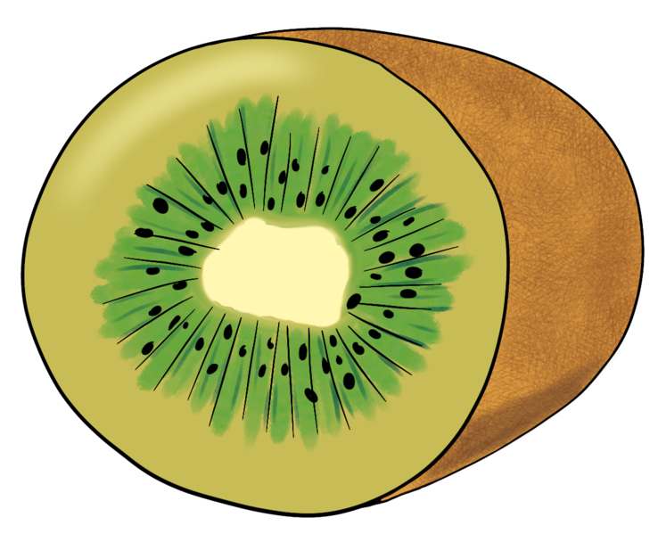 Datei:CA Kiwi.png