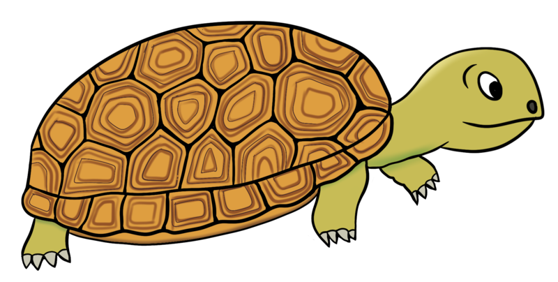 Datei:CA Schildkroete.png