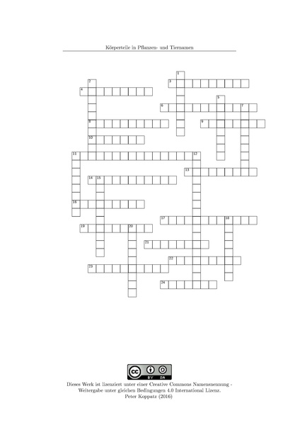 Datei:Koerperteile.pdf