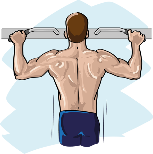 Datei:Rückentraining - db-seeds-word images-Rückentraining2 4c.png