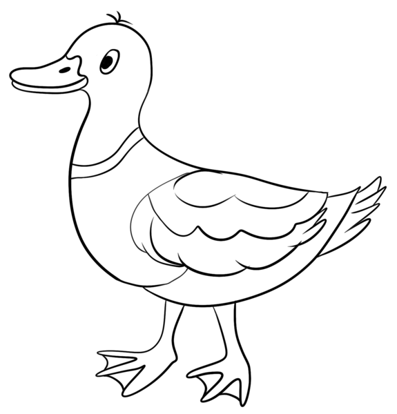 Datei:CA Ente sw.png