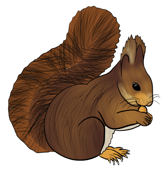 Datei:CA Eichhoernchen.png