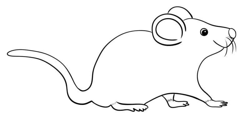 Datei:CA Maus sw.png