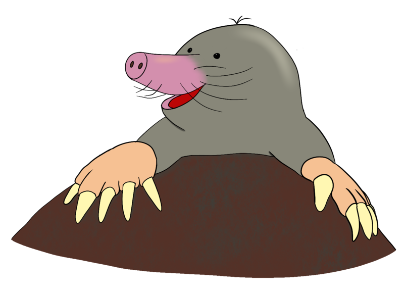 Datei:CA Maulwurf.png