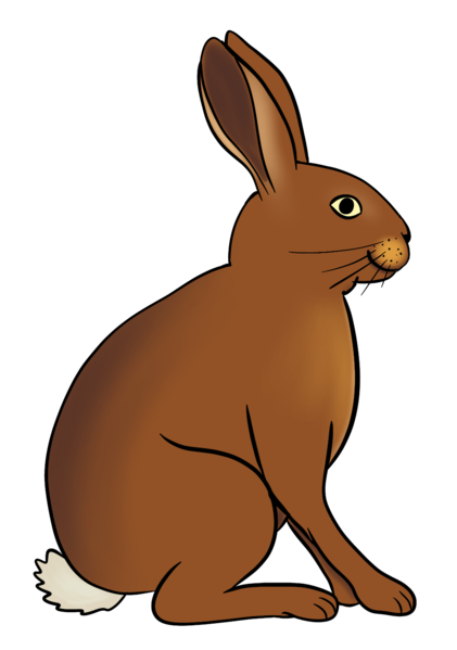Datei:CA Hase.png