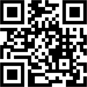 Fobi Wiki Reflexion.png