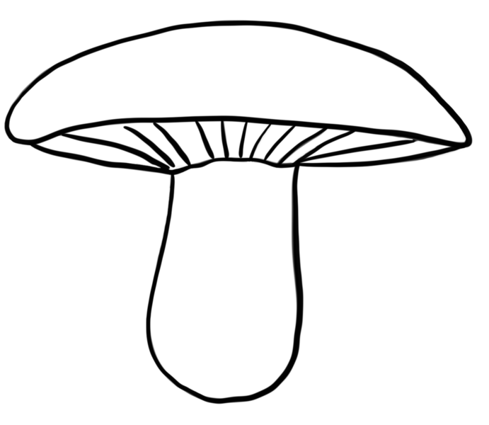 Datei:CA Pilz sw.png