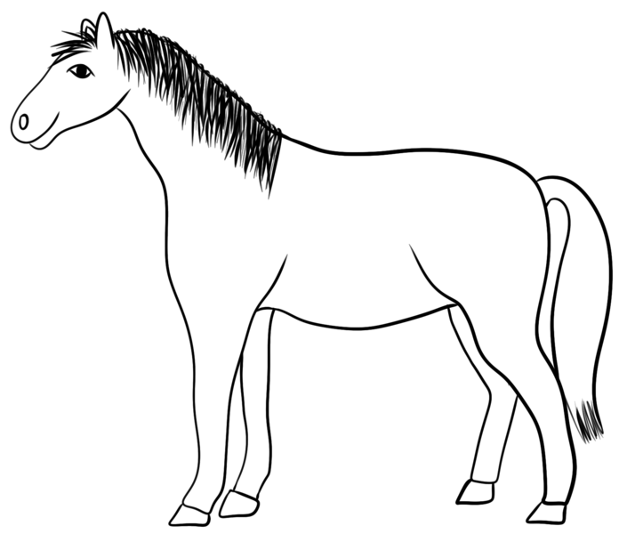Datei:CA Pferd sw.png